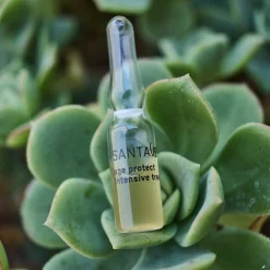 AGE PROTECT intensive treatment, 10 x 1 ml (10 ml)