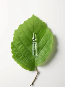 Ampolle Calm & Balance, 14 ml