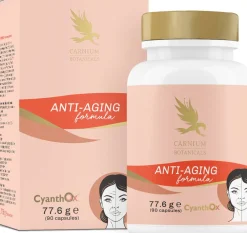 Anti-Aging Formula, 90 capsule
