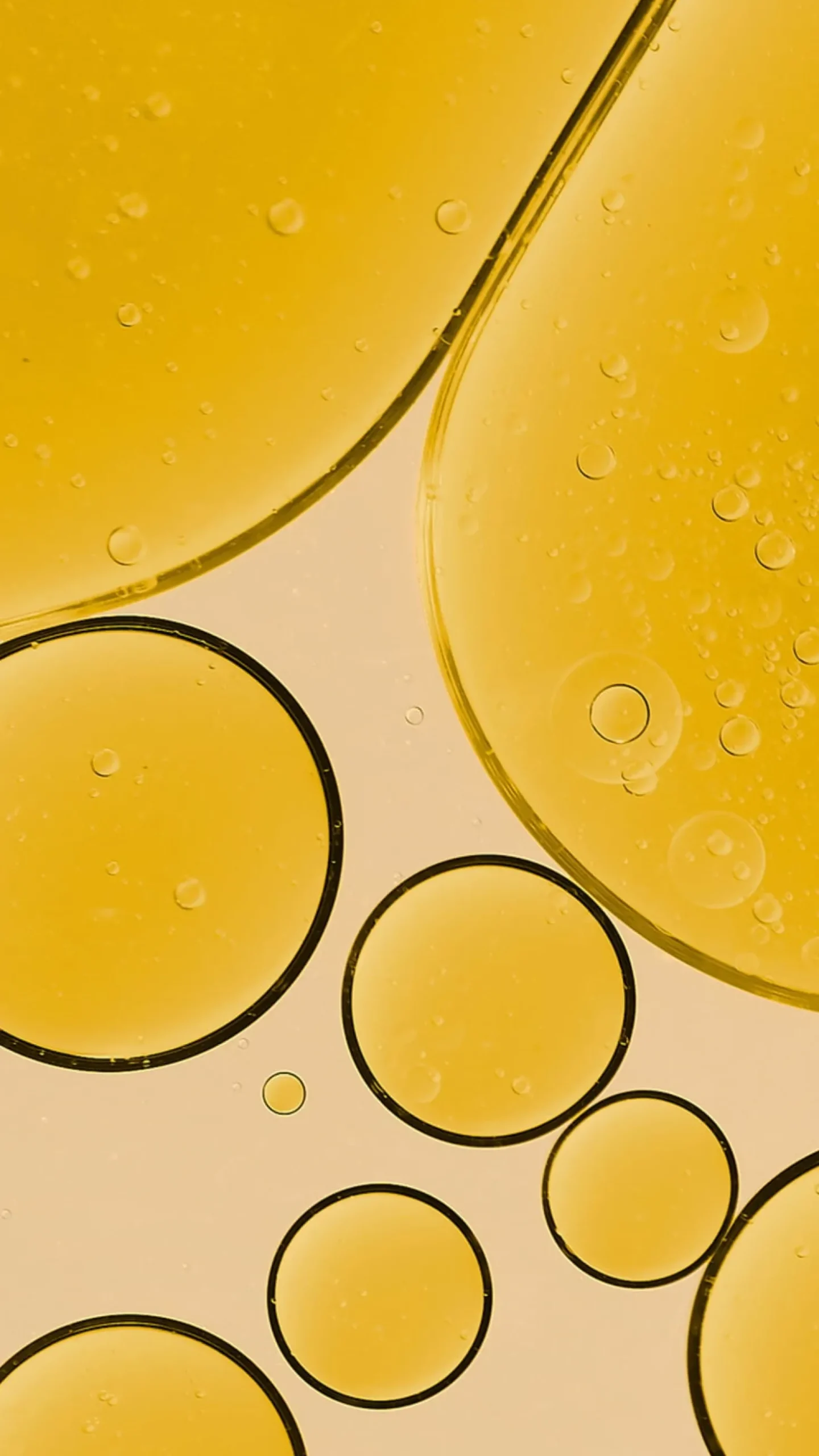 Avocado Oil, 50 ml