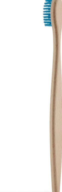 Beechwood Toothbrush Firm