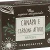 Biosapone Concentrato Canapa e Carbone, 100 g