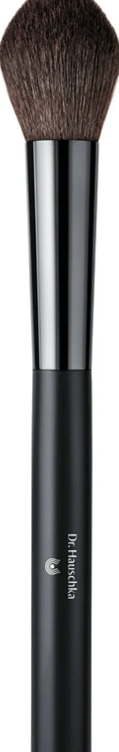 Blusher Brush