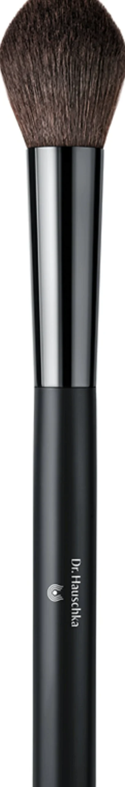 Blusher Brush