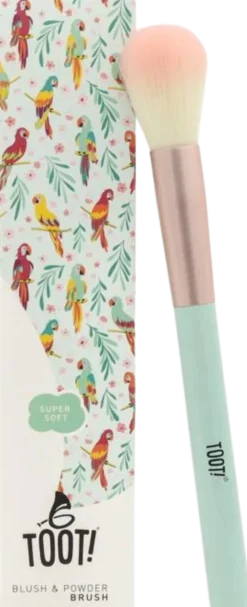 Blush & Powder Brush
