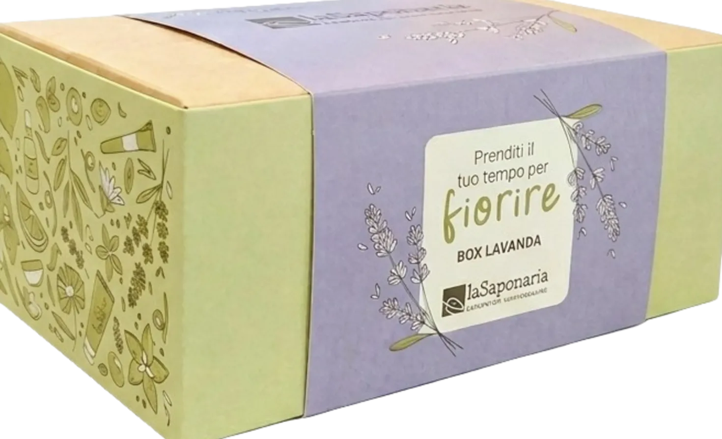 Box Lavanda