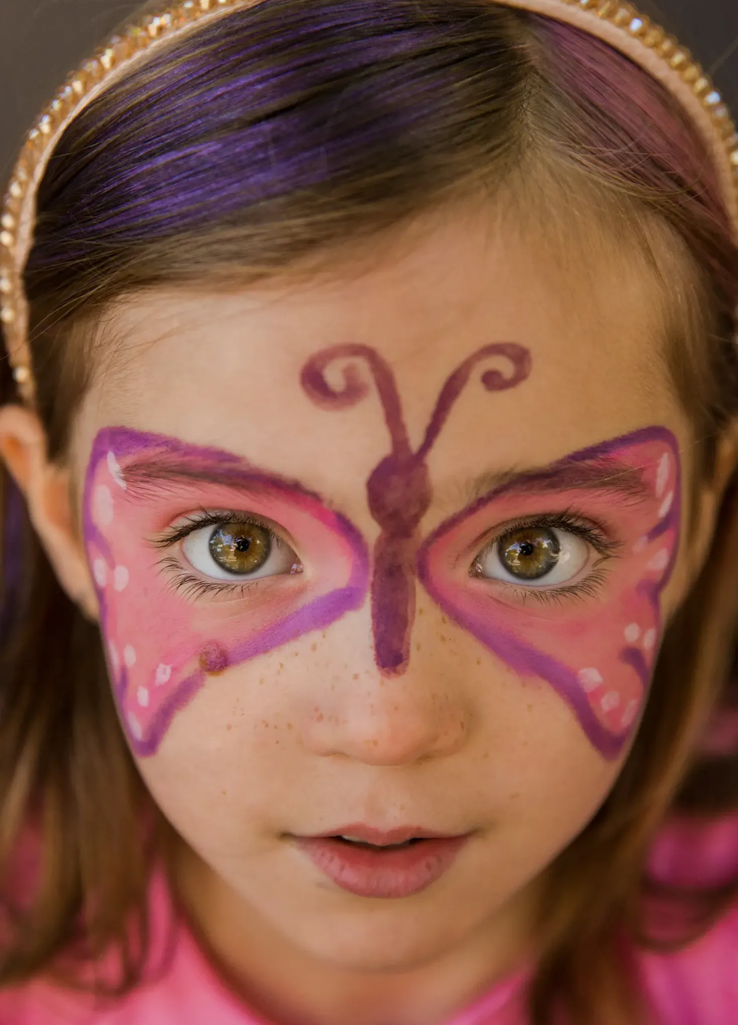 Butterfly Face Painting Kit, 24 g