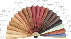 ColorVãti Organic Herbal Hair Color - 12 Burgundy, 100 g