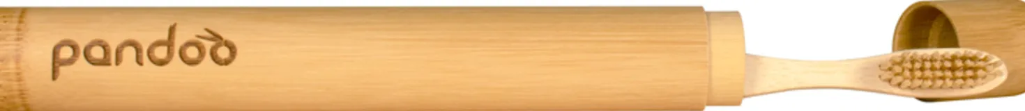 Custodia per Spazzolino da Denti
