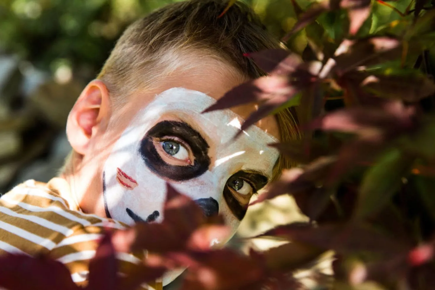 Devil & Spider Face Painting Kit