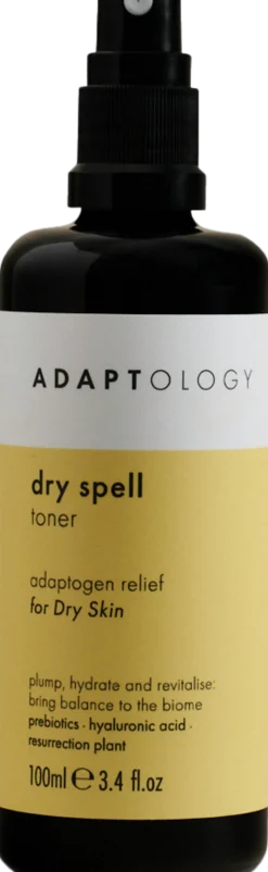 Dry Spell Toner, 100 ml