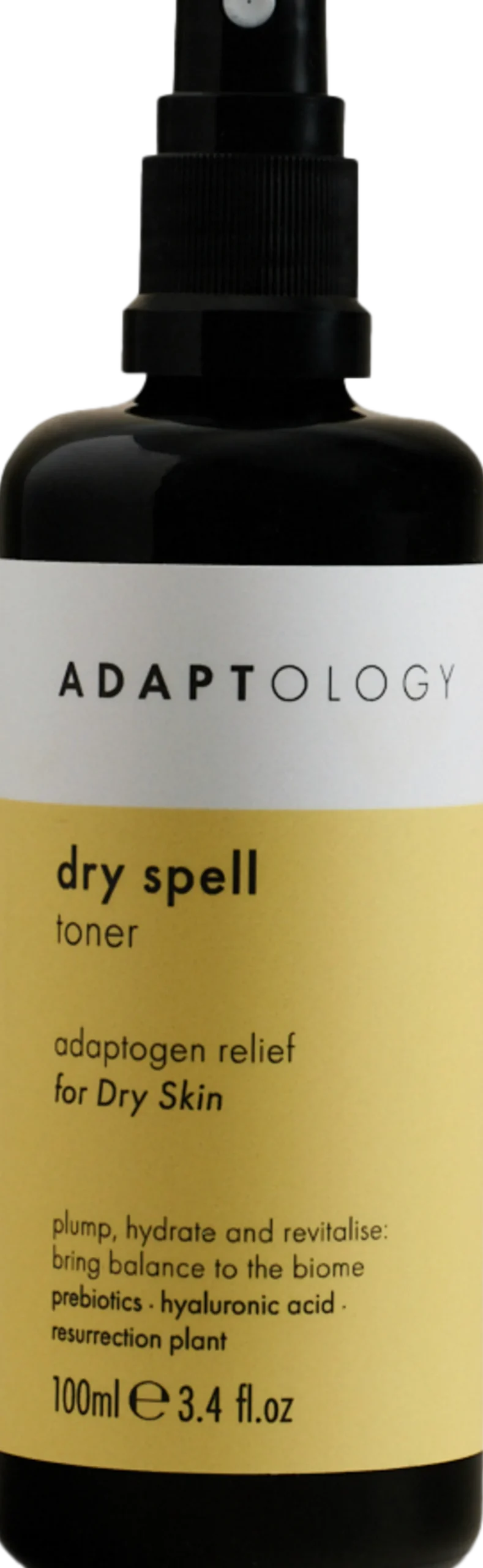 Dry Spell Toner, 100 ml