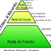 Eau de Parfum Spray Antiox "Seguimi Oltre il Ricordo", 15 ml