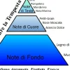 Eau de Parfum Spray Antiox "Seguimi Oltre la Tempesta", 15 ml
