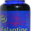 Eglantine Fluido Viso, 30 ml