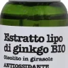 Estratto Liposolubile di Ginko Bio, 30 ml