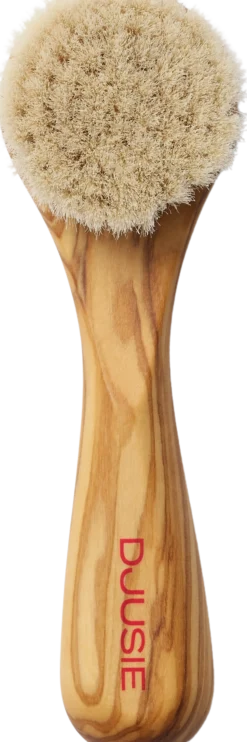 Face Brush