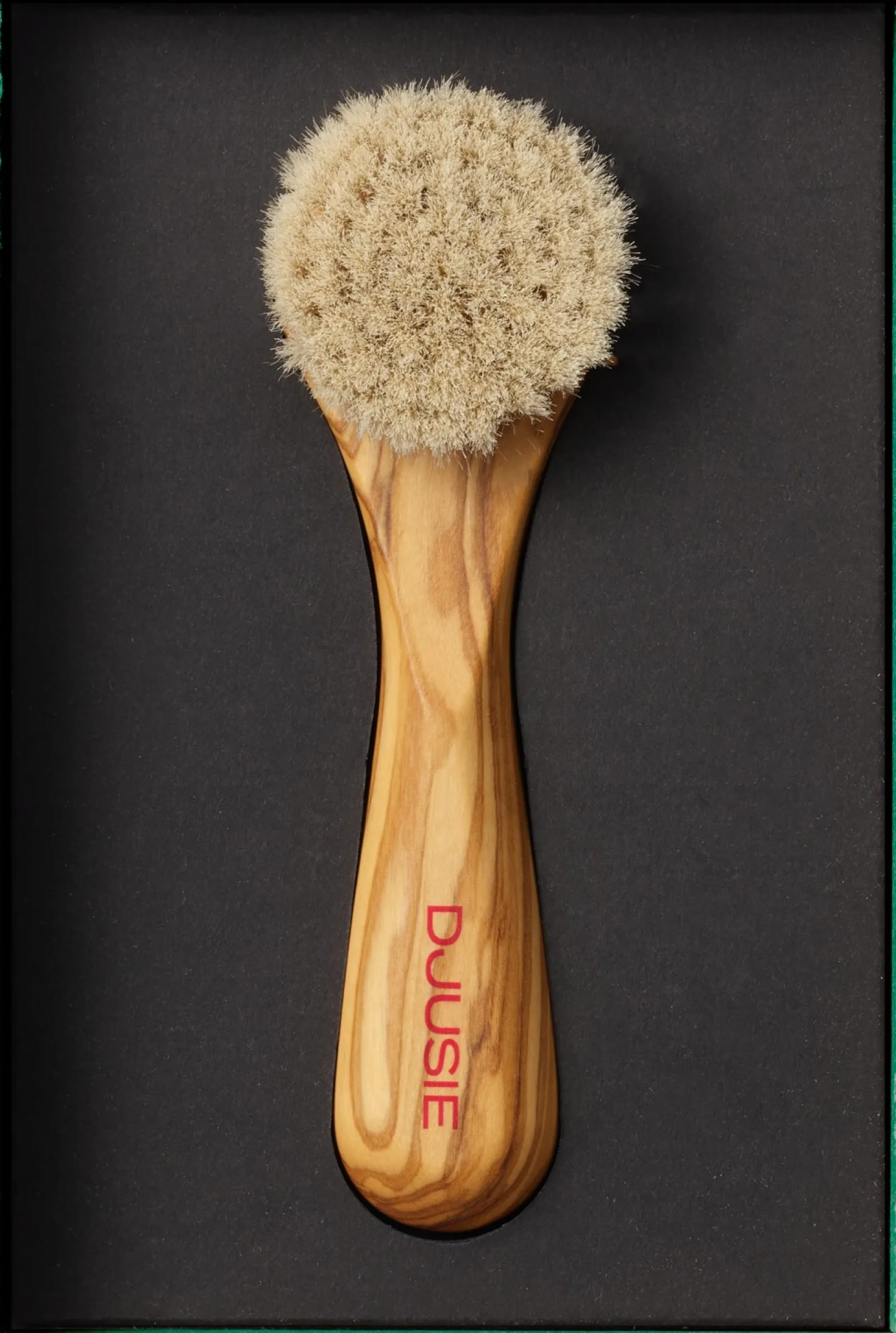 Face Brush