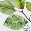 Fluido Giorno Attivante - Edizione Limitata, 75 ml