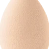 Foundation Sponge