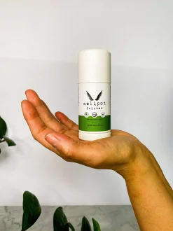 Frishen Deodorant Stick, 55 g
