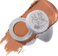 Fruit Pigments Long Last Concealer + Super Fruits, 5 g