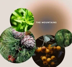 Gel Doccia "Cima di Montagna Calmante" - The Mountains, 200 ml