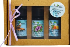 Gift Box Winter Luxury