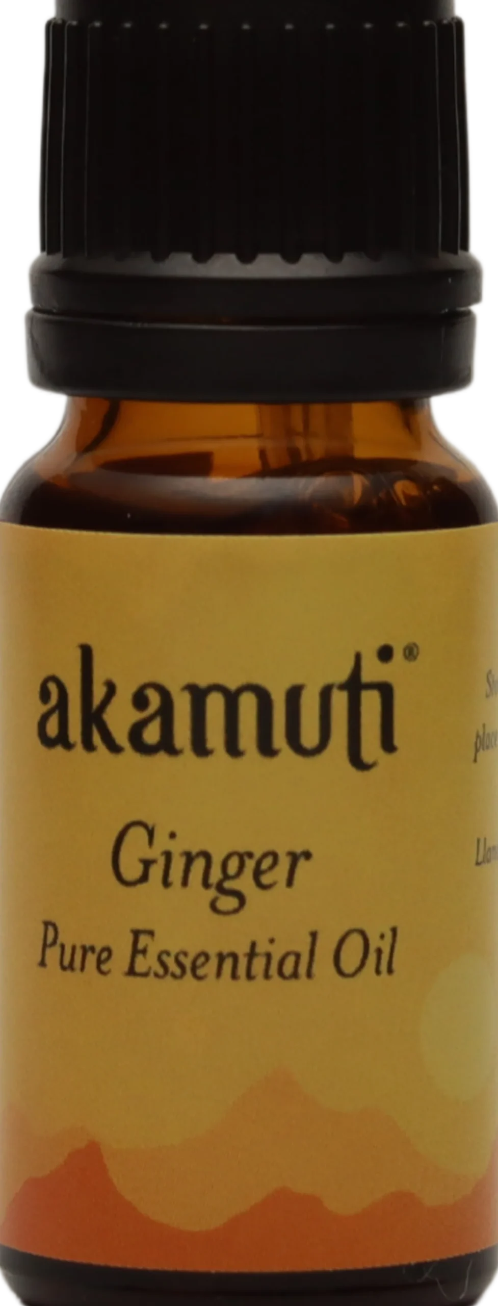 Ginger Essential Oil, 10 ml