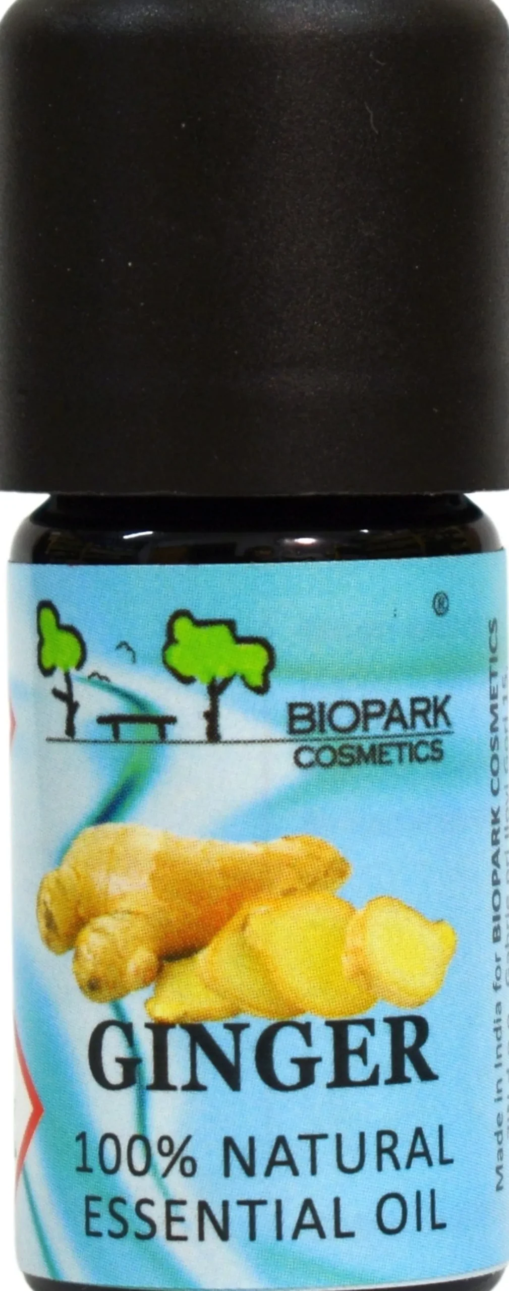 Ginger Essential Oil, 5 ml