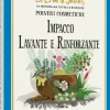 Impacco Lavante e Rinforzante, 100 g