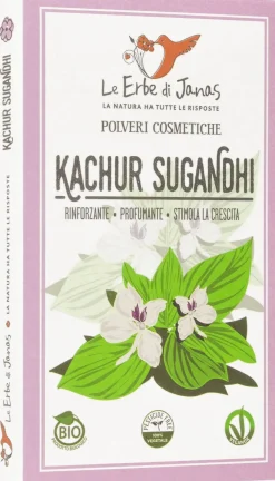 Kachur Sugandhi (Zenzero Aromatico), 100 g