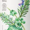 Kräutergarten Hair + Shampoo con Caffeina Bio, 200 ml