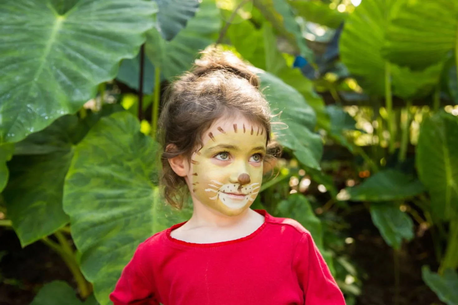 Lion & Giraffe Face Painting Kit