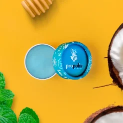 Lip Balm, Mint (6 g)