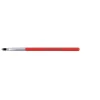 Lip Brush Colour Edition
