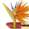 Lip Flower Strelitzia Nr. 195, 3,60 g