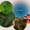 Olio Corpo e da Massaggio "Mare Energizzante" - The Ocean, 100 ml
