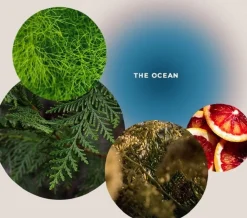 Olio Corpo e da Massaggio "Mare Energizzante" - The Ocean, 100 ml
