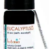 Olio Essenziale di Eucalipto Premium, 10 ml