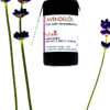Olio Essenziale di Lavanda Premium, 10 ml