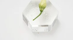 Perfect Daily Mist, 100 ml