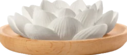 Pietra Aromatica - Fiore di Loto
