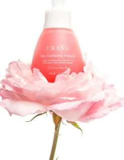 Pink Everlasting Ampoule, 35 ml