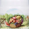 Pomata alla Borragine, 50 ml