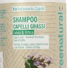 Shampoo Antiforfora Salvia & Ortica, 1000 ml (1 L)
