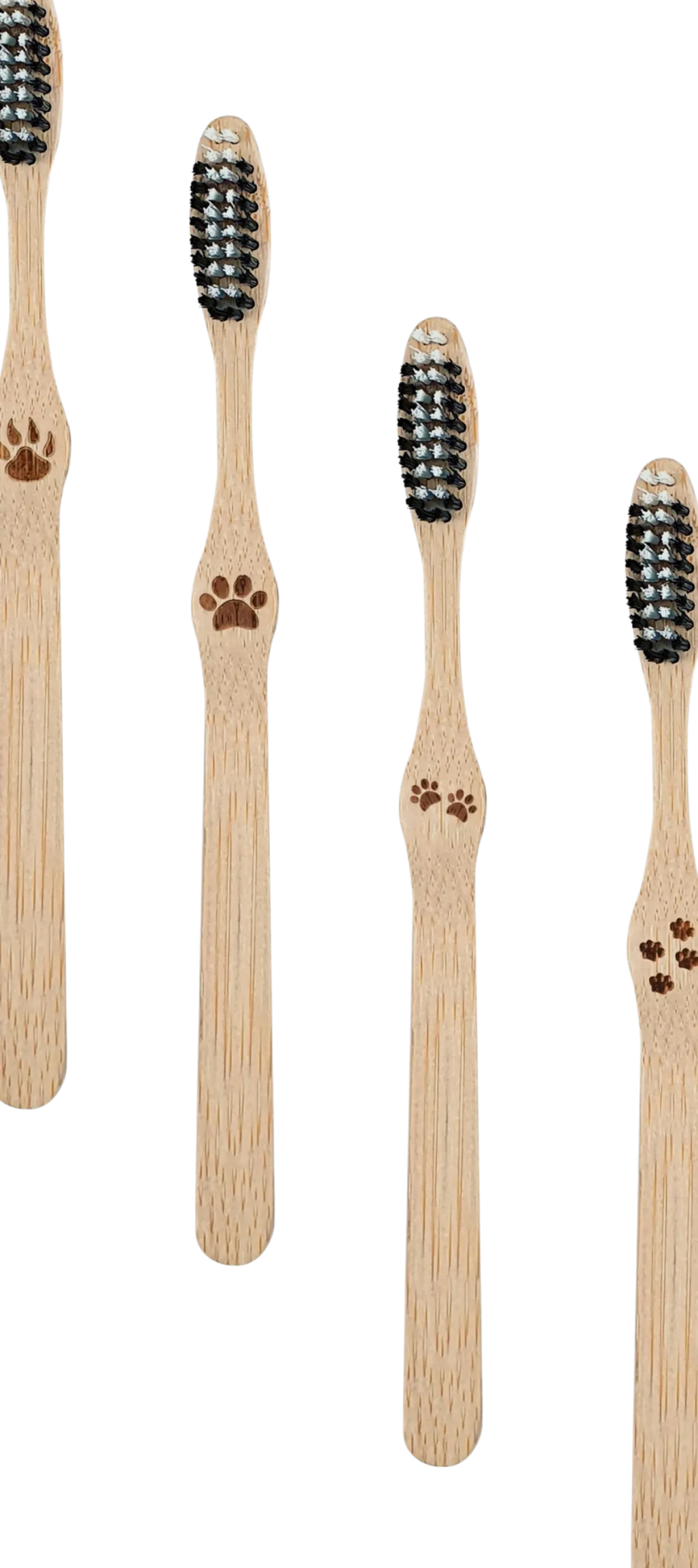Spazzolino da Denti in Bambù - Medio, 4 pezzi