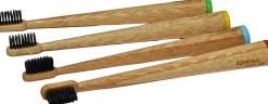 Spazzolino da Denti in Bambù Naturale
