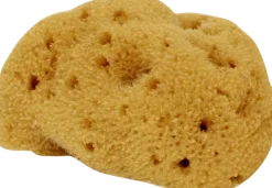 Spugna Fine Dama Lavata, Piccola, 5-6 g
