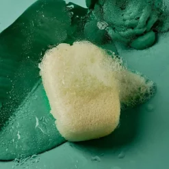 Spugna Konjac Naturale per il Corpo